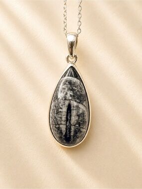 Orthoceras Pendant 925 Silver